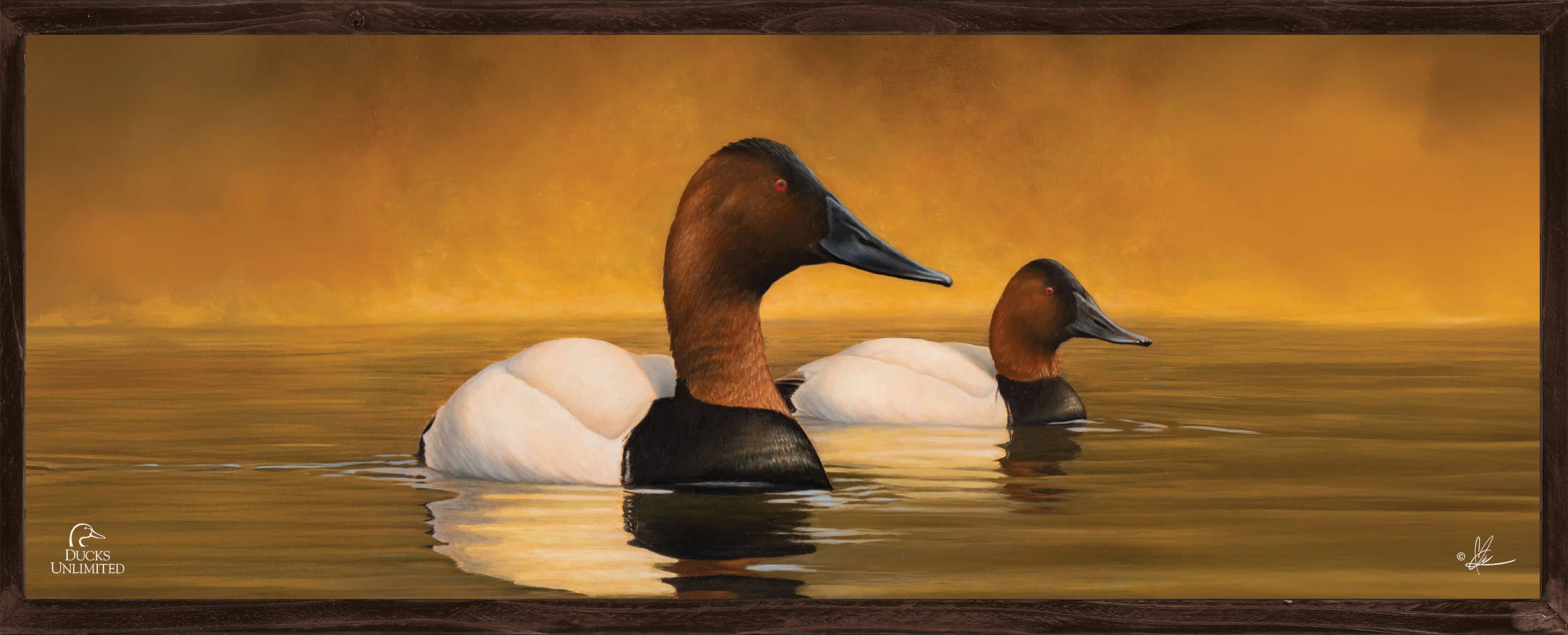 Image of Canvas Back 12" x 30" Wood Sign - Official Ducks Unlimited Art