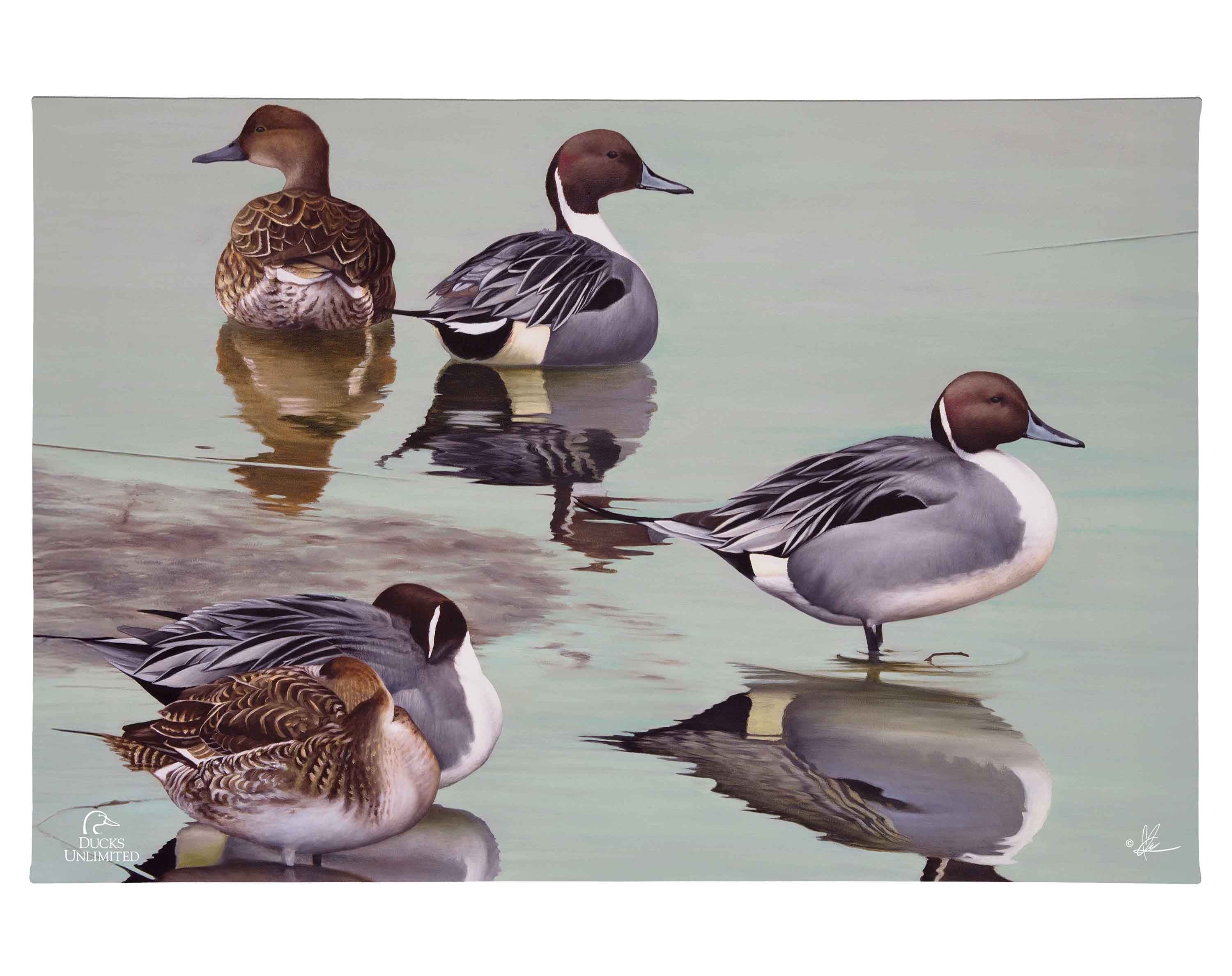Image of Overcast Gallery Wrapped Canvas - Official Ducks Unlimited Art