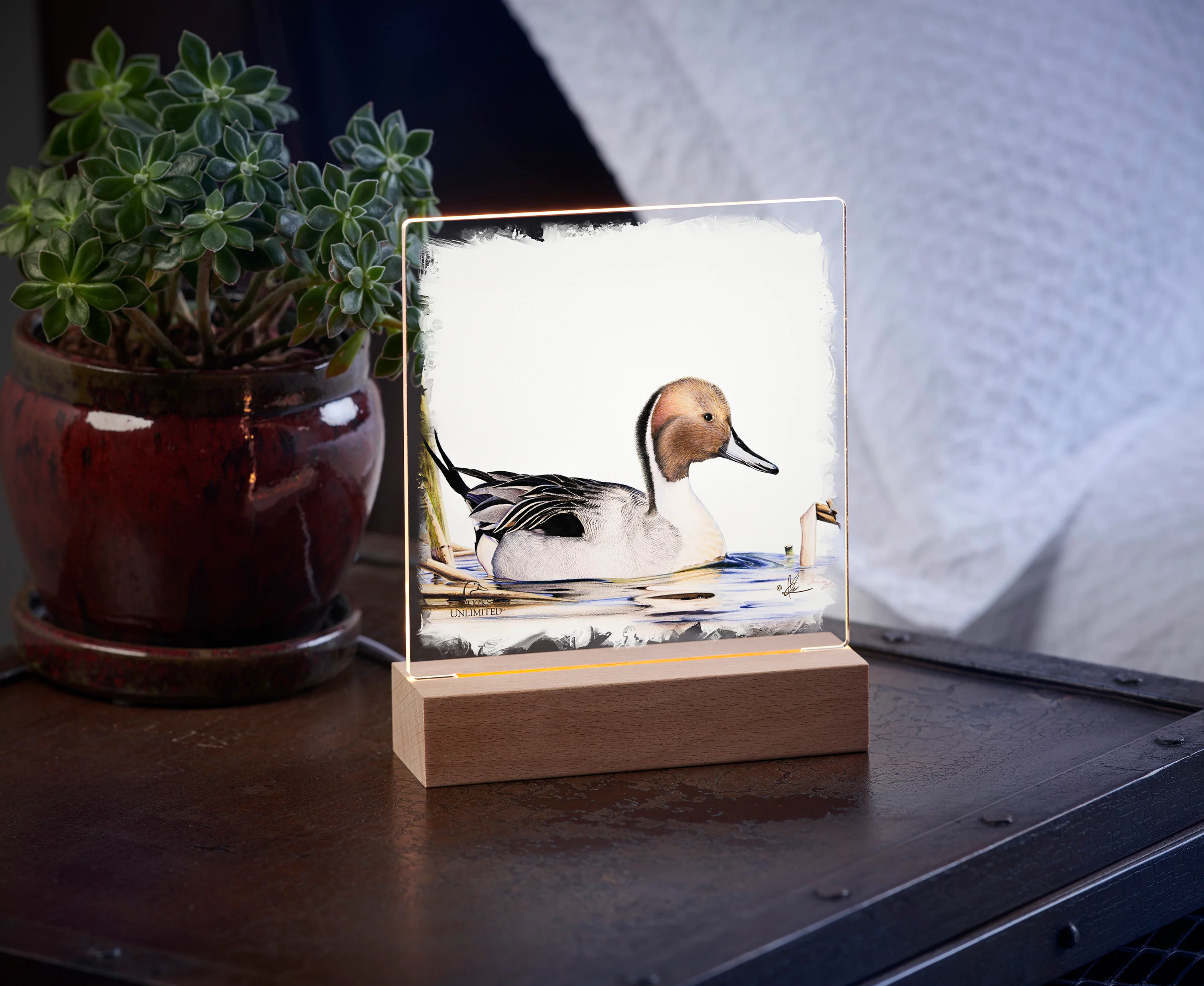 Image of Pintail  Acrylic Night Light - Official Ducks Unlimited Art