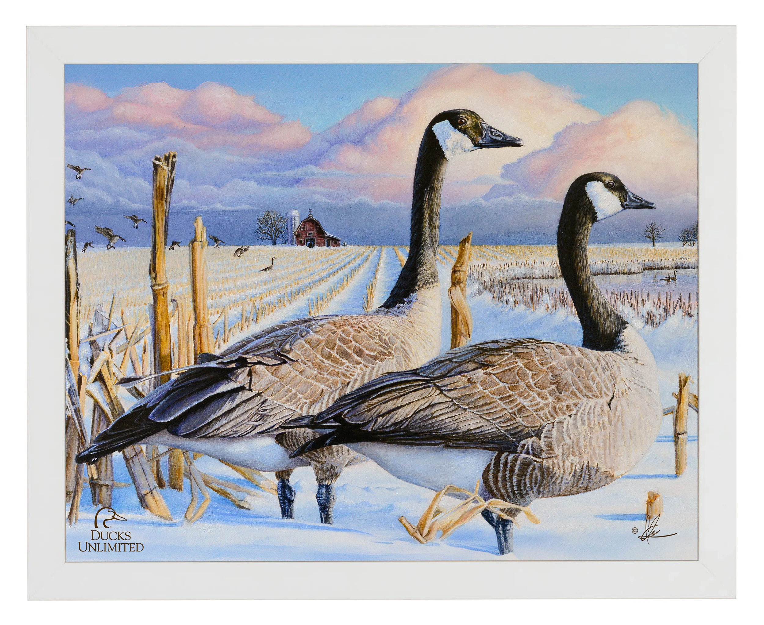 Image of Canada Geese Art Prints - Official Ducks Unlimited Art