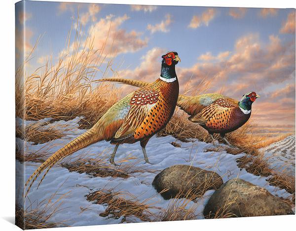 Image of Standing Ground—Pheasants - 19" x 24" Gallery Wrapped Canvas