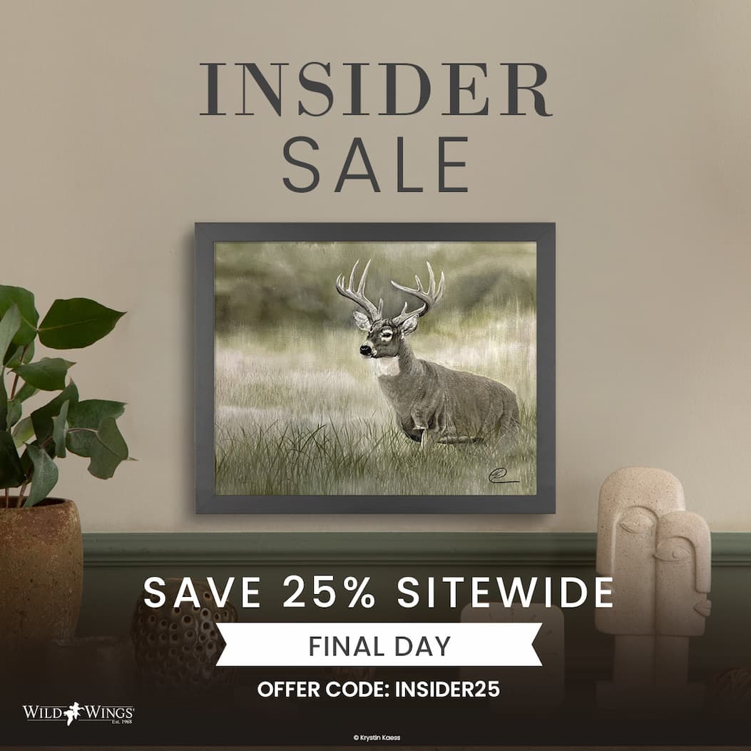 Insider Sale