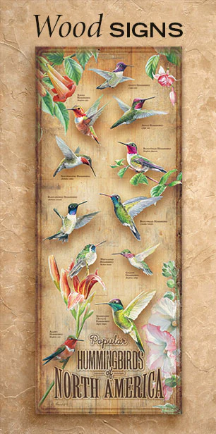 Image of Hummingbirds of North America - 30" x 12" Wood Sign