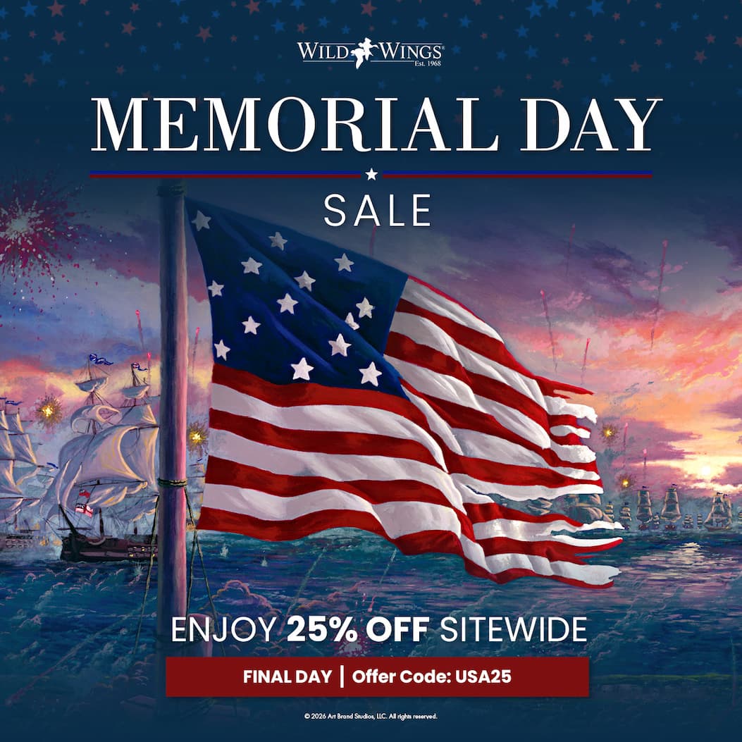 Military Appreciation sale