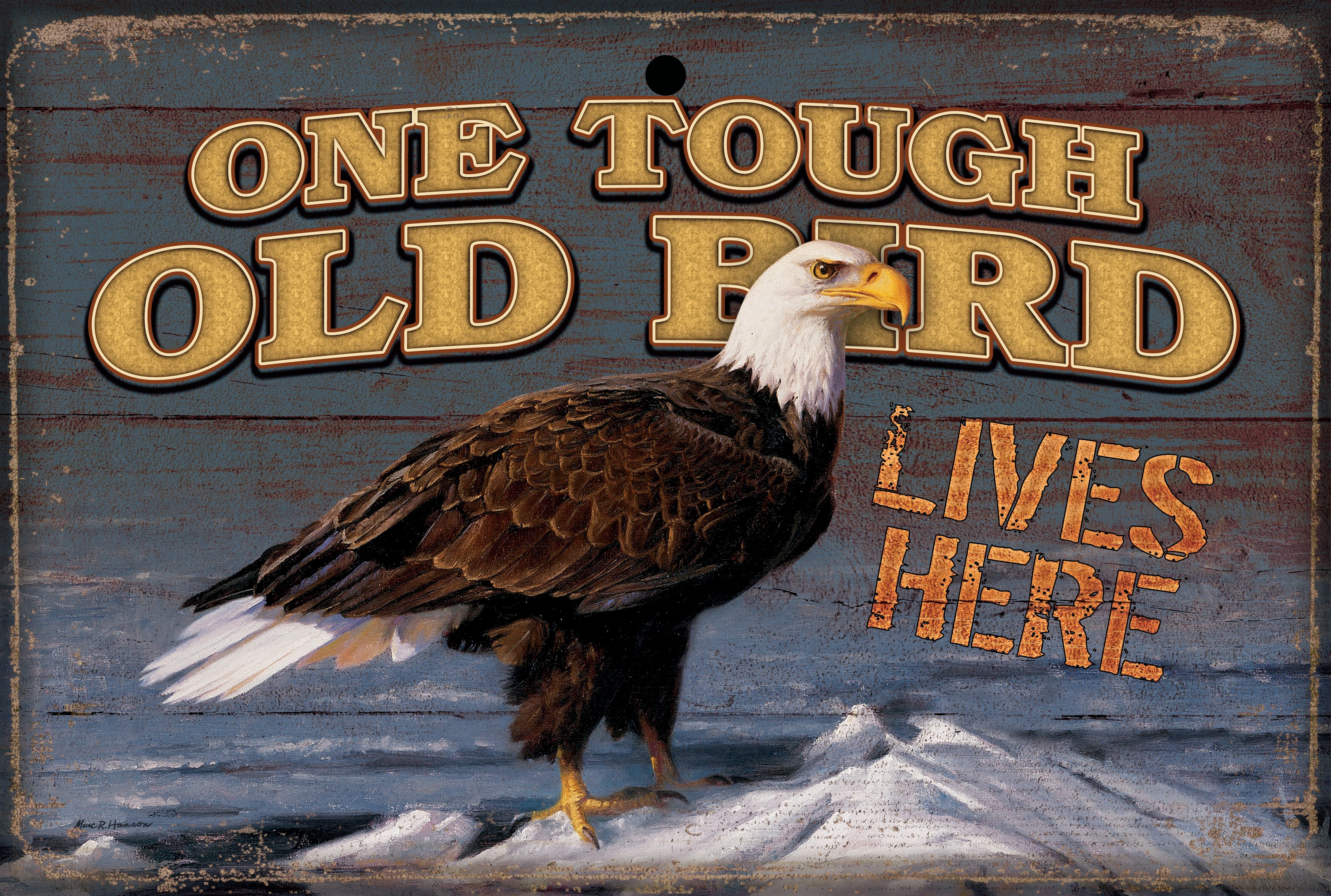 Image of River Ride-Bald Eagle - 8" x 12" Wood Sign