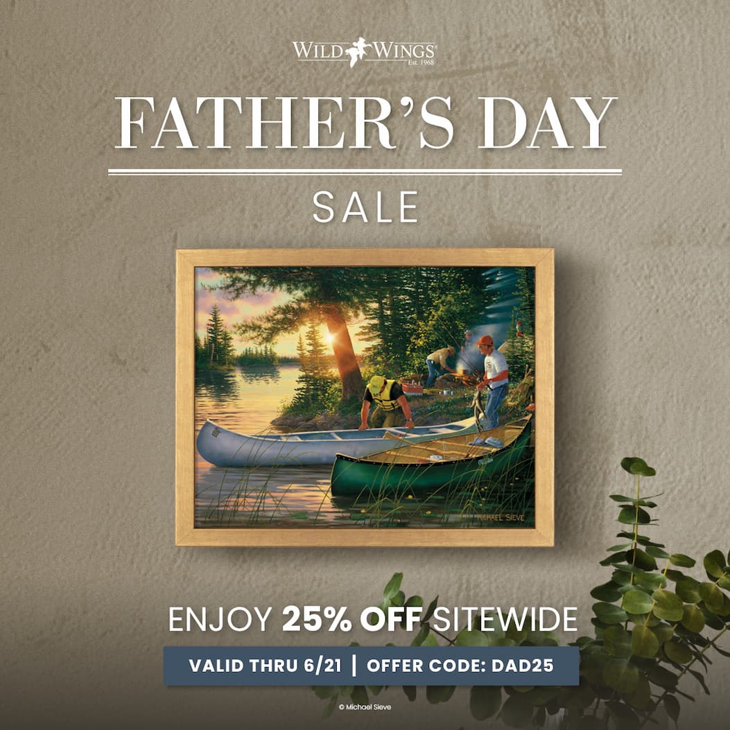 Father's Day Sale