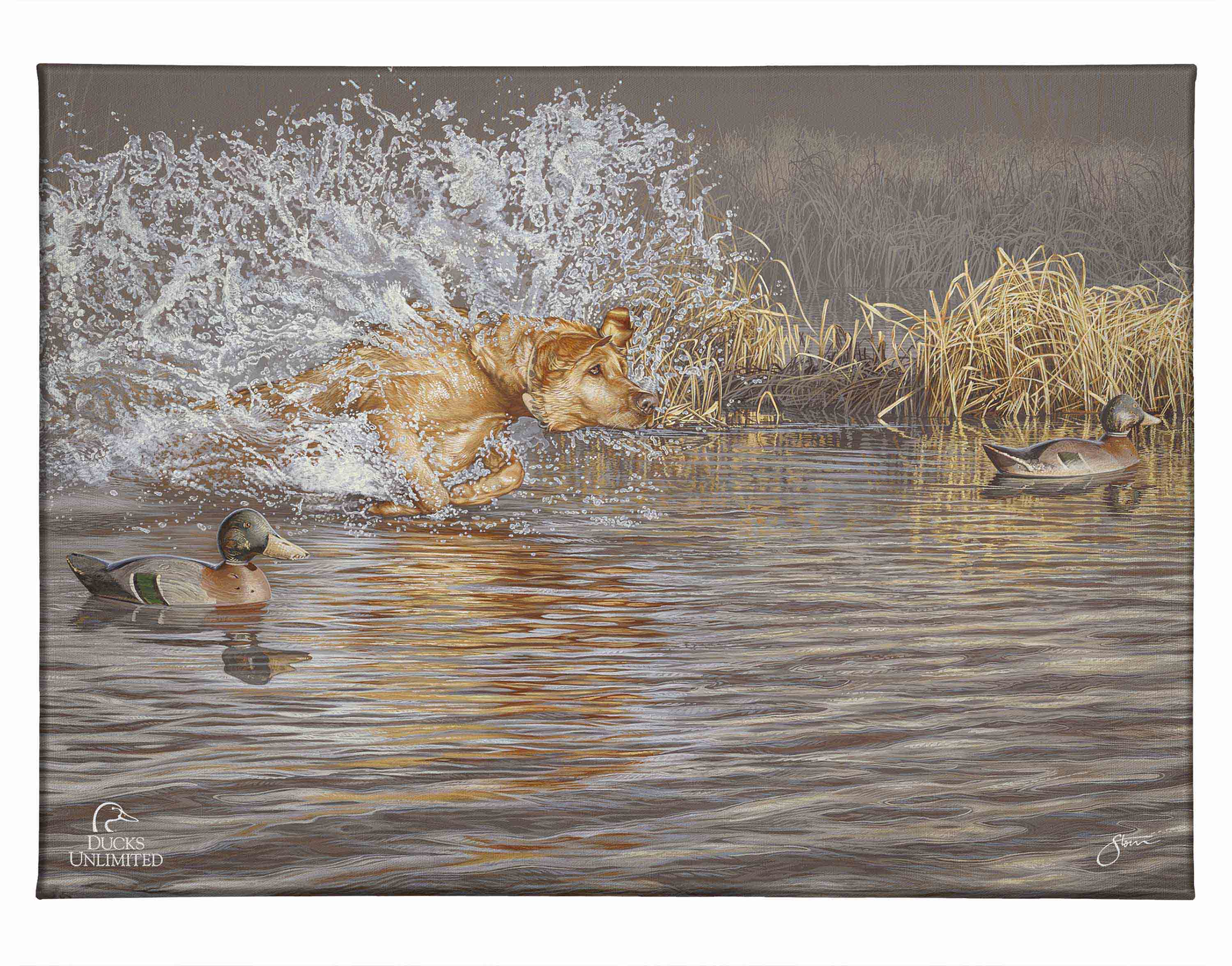 Image of Time to Shine Gallery Wrapped Canvas - Official Ducks Unlimited Art