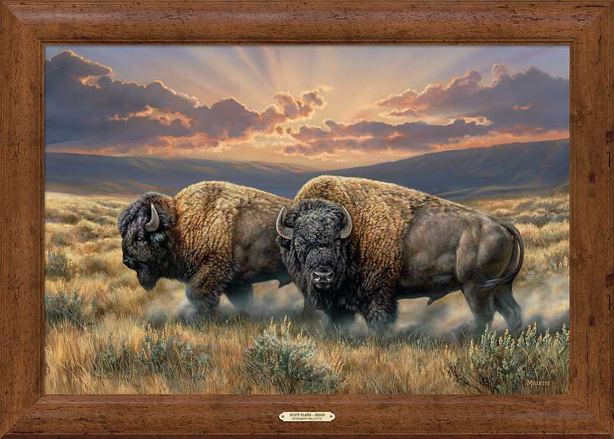 Image of Dusty Plains—Bison - 30" x 40" Framed Gallery Canvas