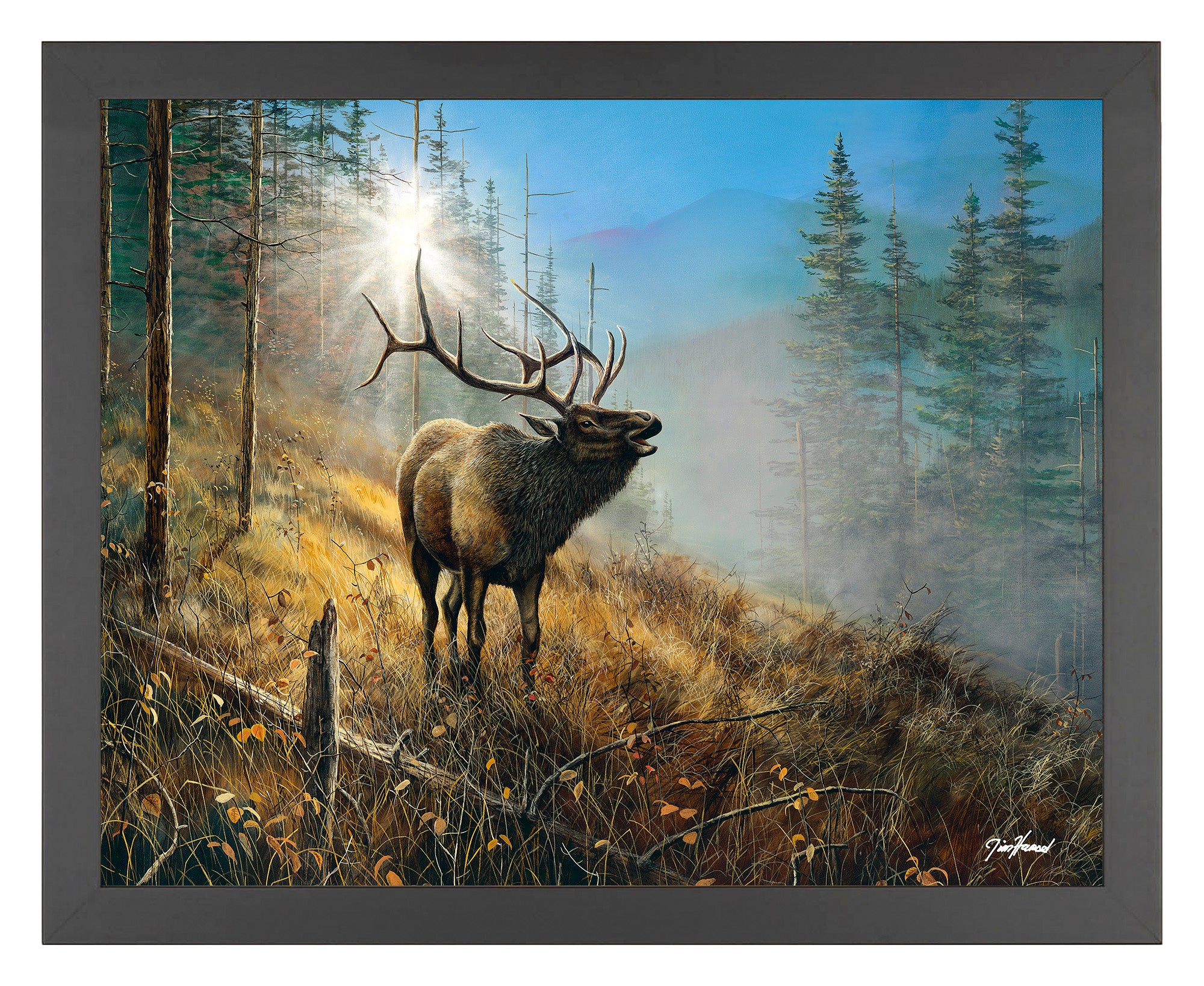 Image of Song in the Mist - Art Prints