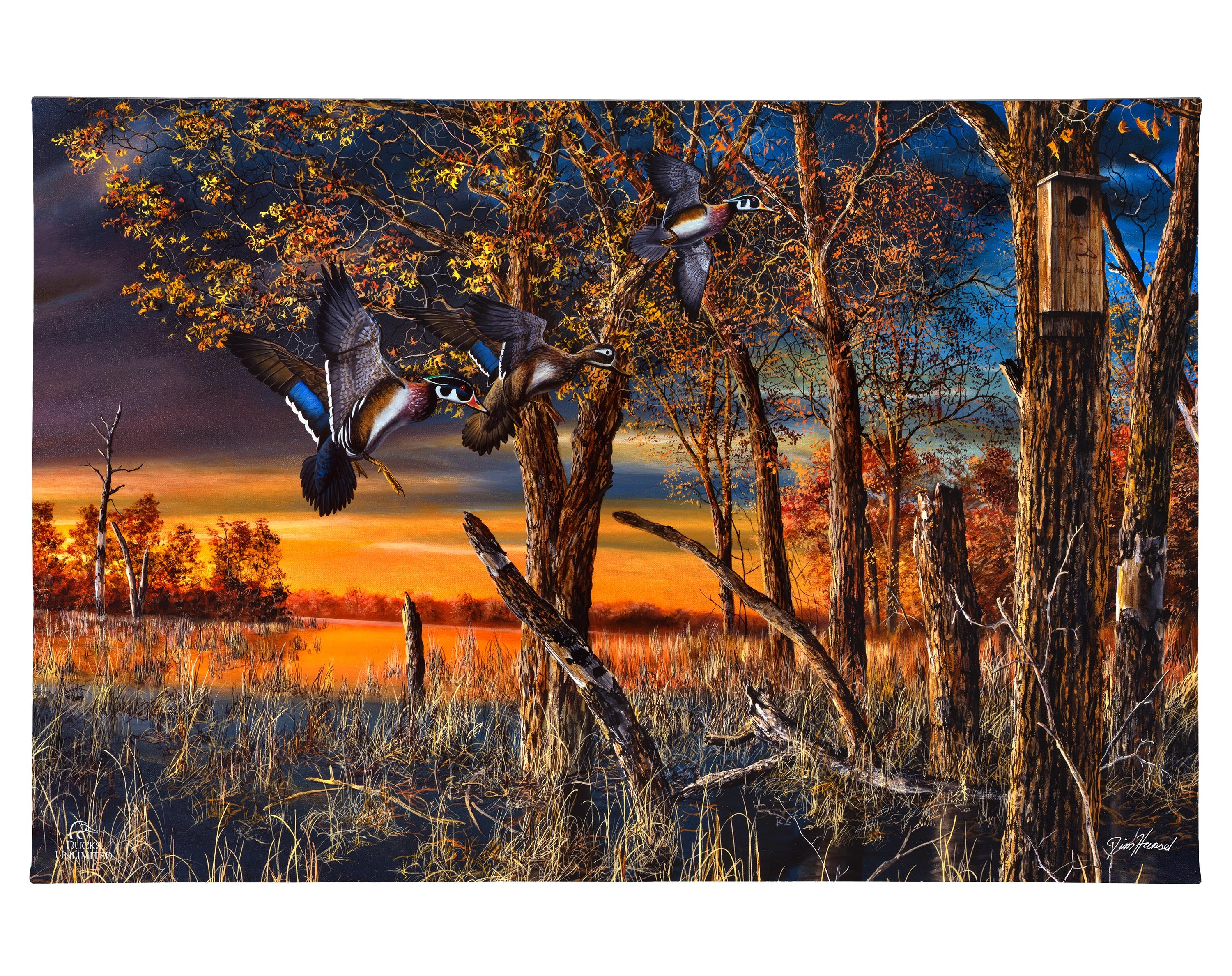 Image of Return to the Refuge Gallery Wrapped Canvas - Official Ducks Unlimited Art