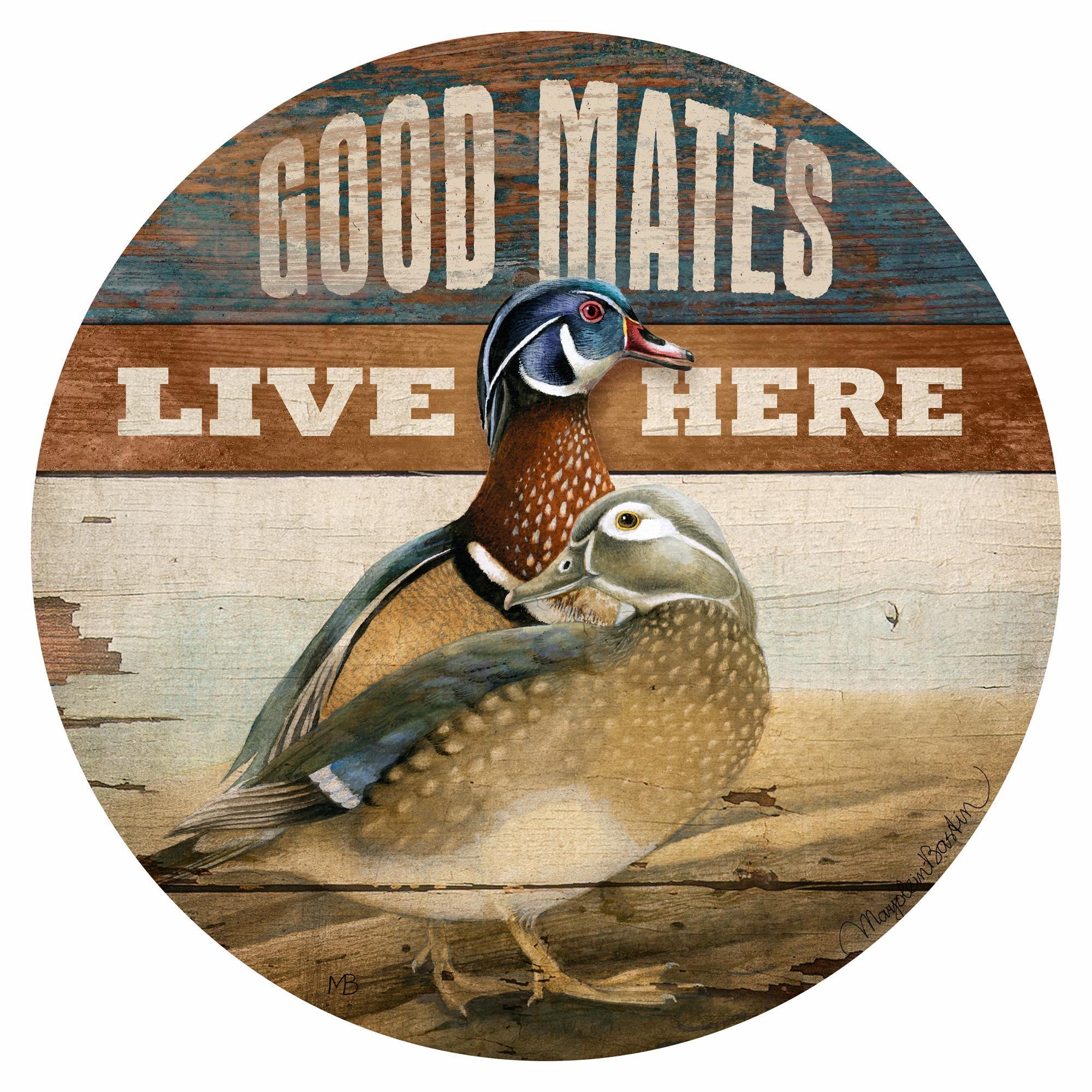 Image of My Dear Wood Ducks