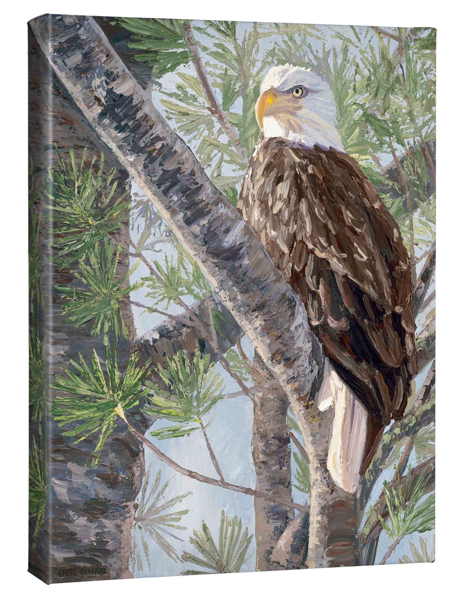 Image of The Watchman—Bald Eagle - 20.5" x 16" Gallery Wrapped Canvas