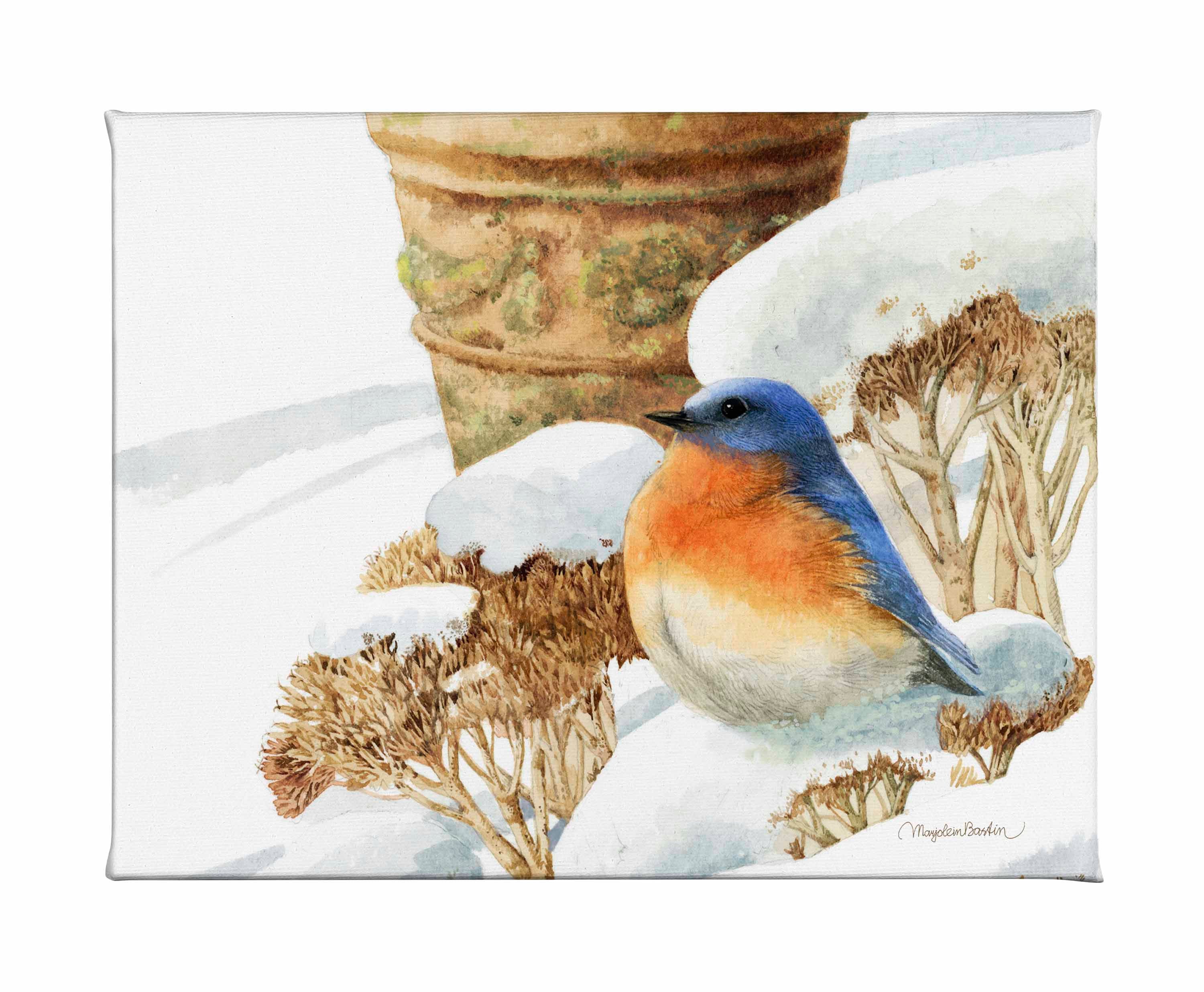 Image of Winter Bluebird - Gallery Wrapped Canvas