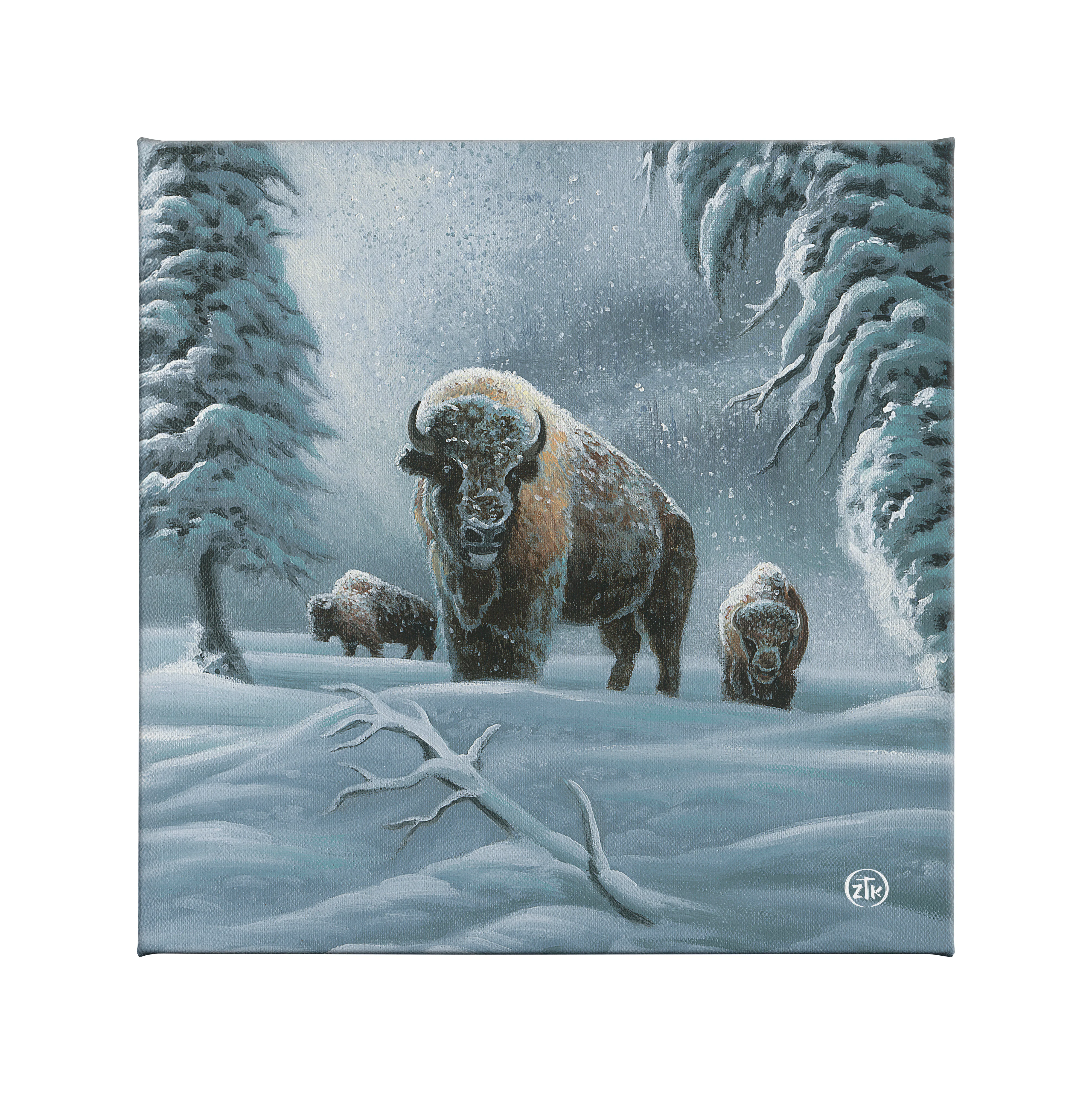 Image of Bison in the Snow - 14" x 14" Gallery Wrapped Canvas