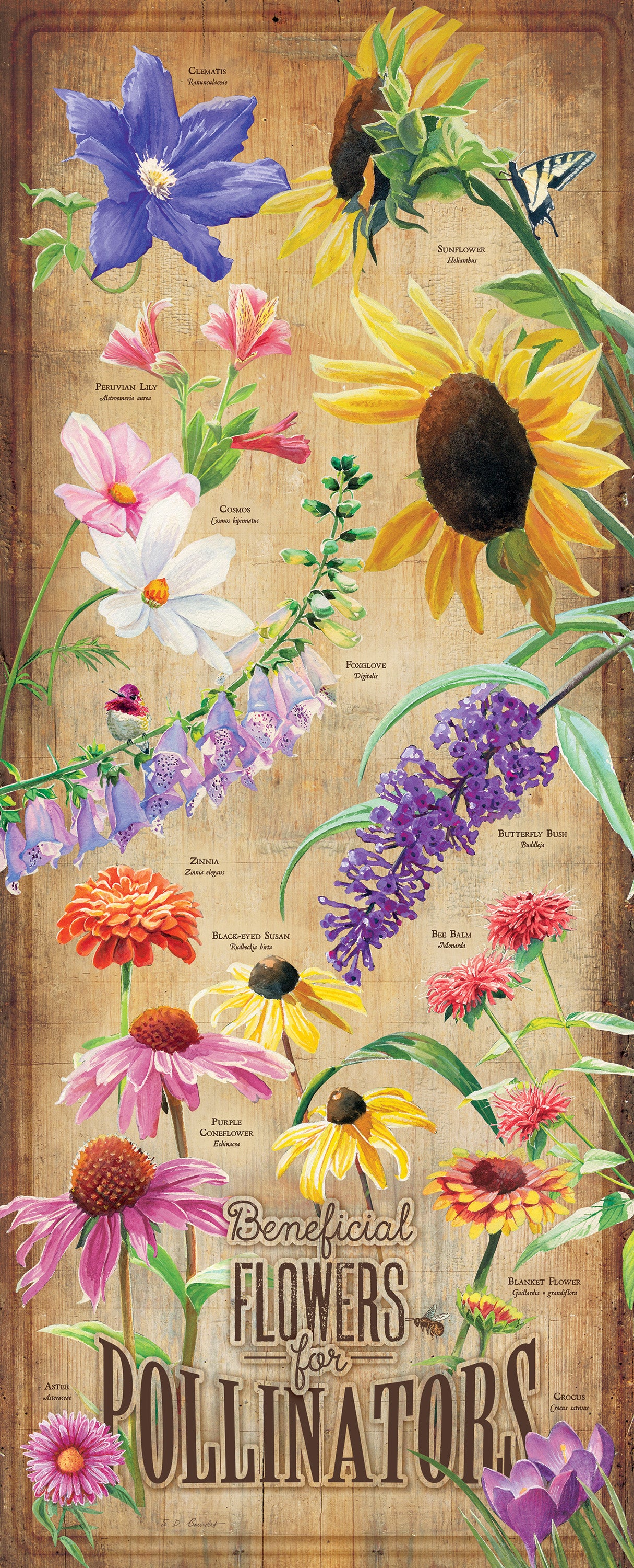 Image of Flower ID Chart - 12" x 30" Wood Sign