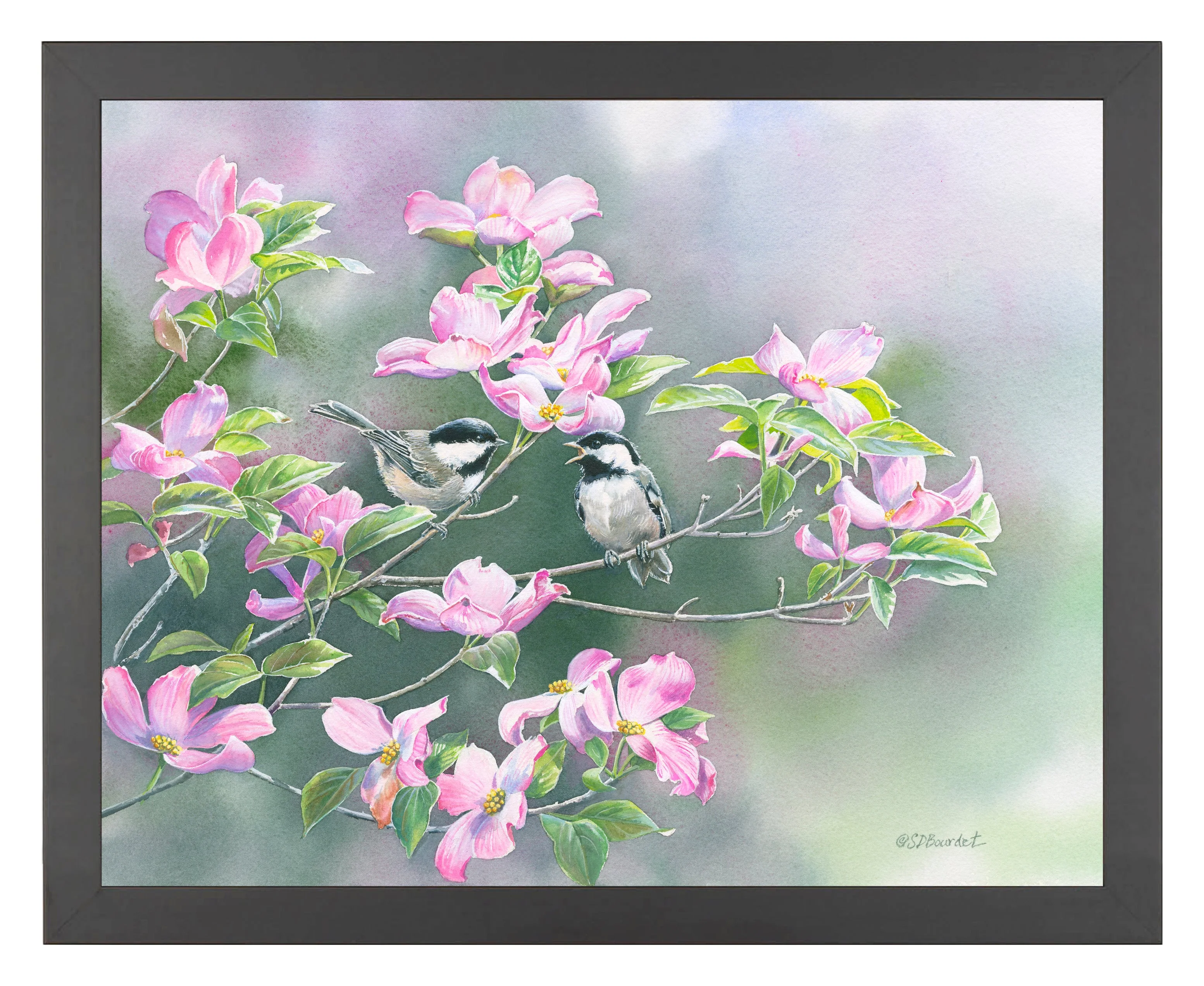Image of Chickadees in Dogwood - Art Prints