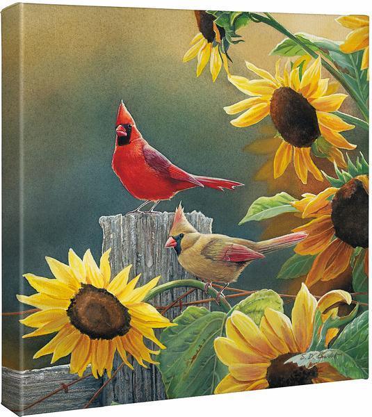 Image of Sunny Side Up - Cardinals - 14" x 14" Gallery Wrapped Canvas