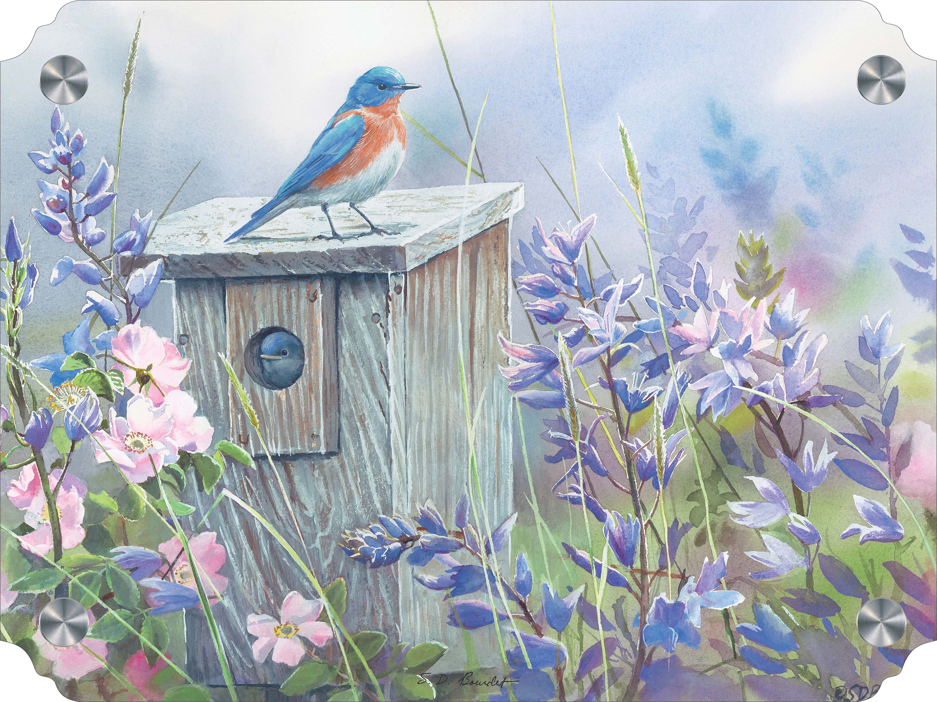 Image of Meadow View - Eastern Bluebird Acrylic Wall Art & Home Decor