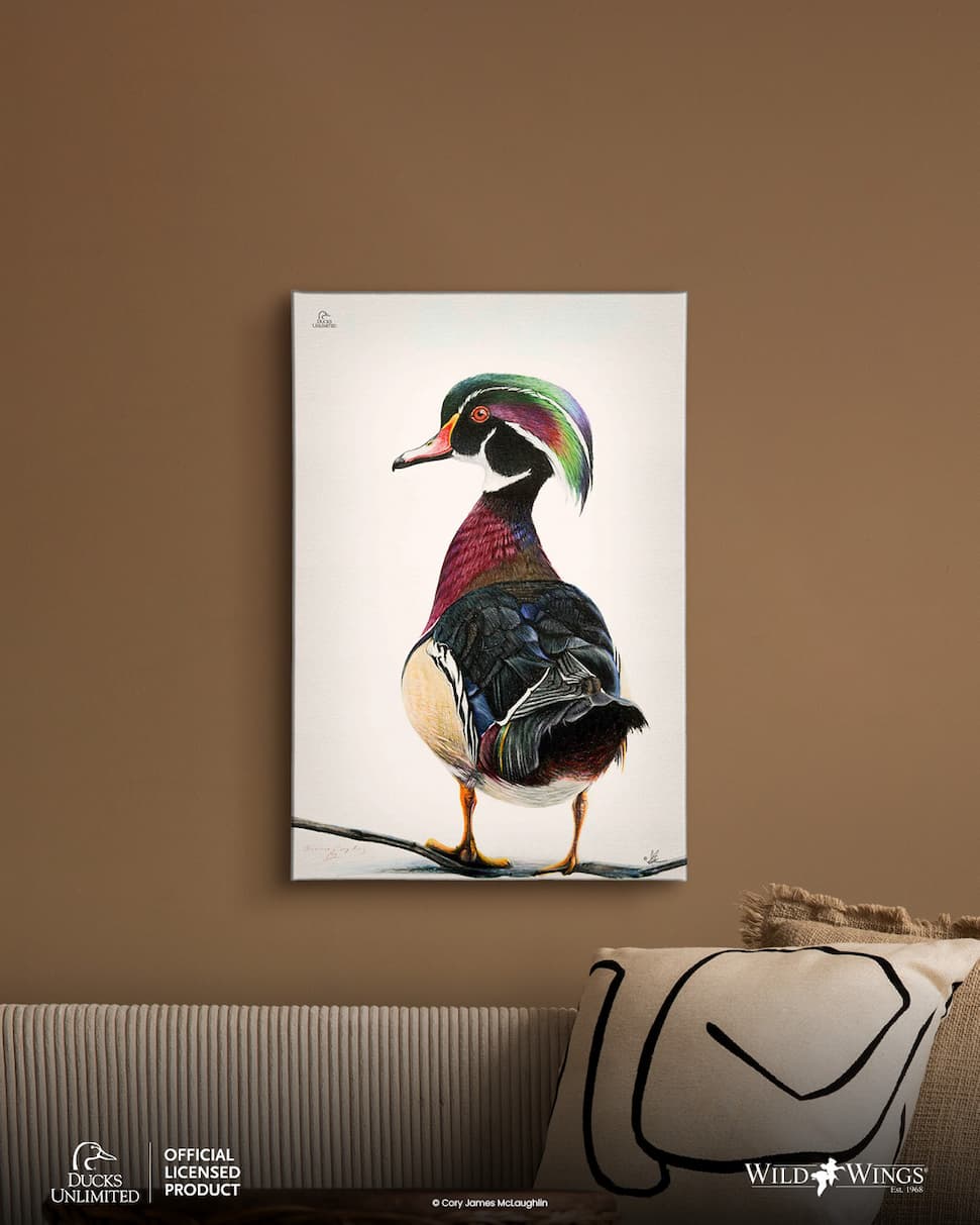 Ducks Unlimited 