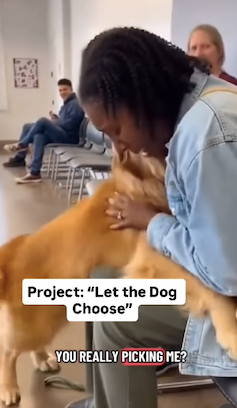 feel good video