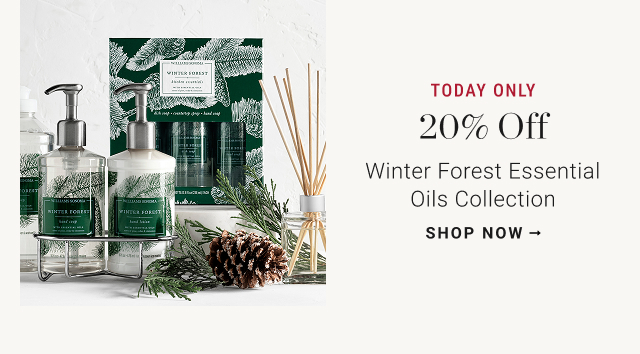 TODAY ONLY - 20% Off - Winter Forest Essential Oils Collection - shop now