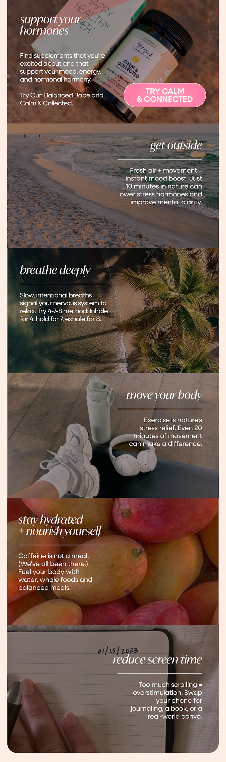 Winged Wellness - Shop Calm and Collected