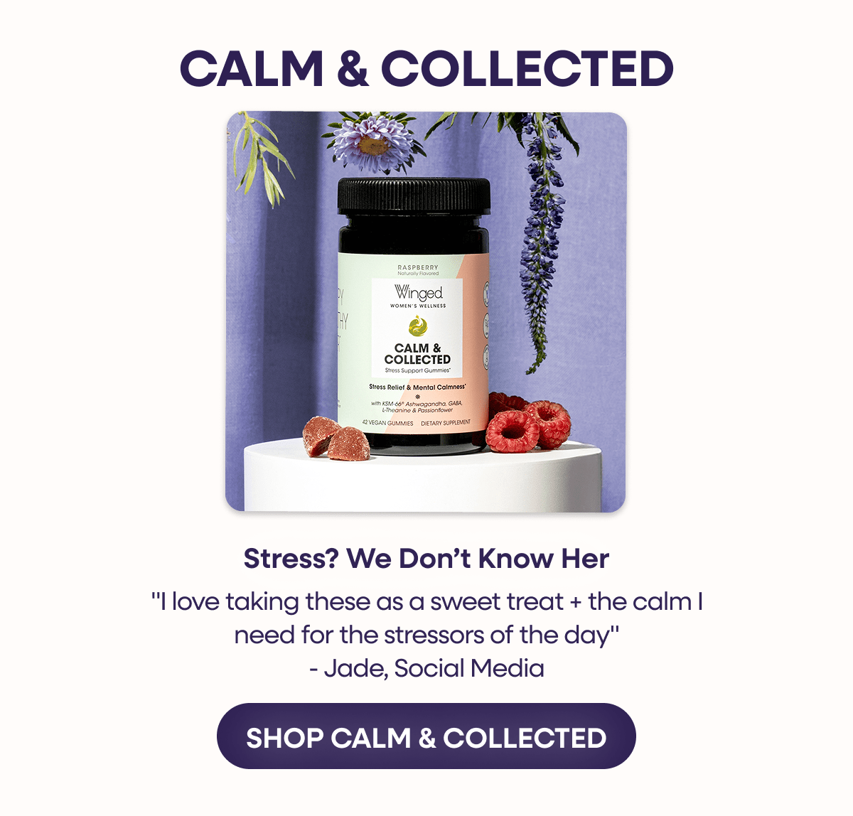 Winged Wellness - Calm & Collected