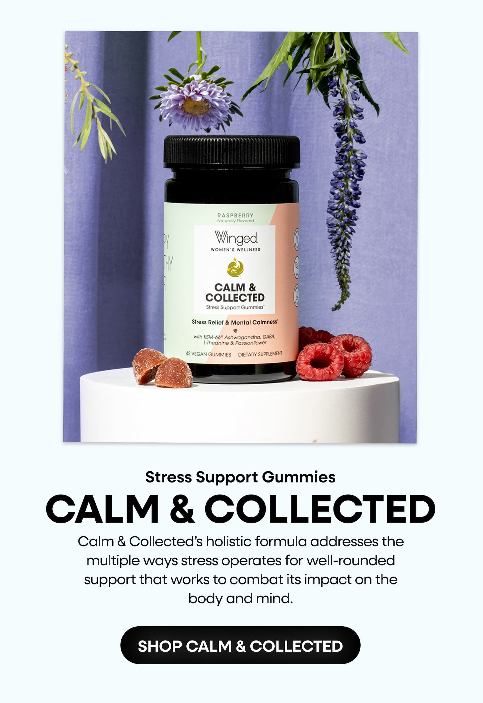 Stress Support Gummies | Calm & Collected | Calm & Collected’s holistic formula addresses the multiple ways stress operates for well-rounded support that works to combat its impact on the body and mind. | SHOP CALM & COLLECTED