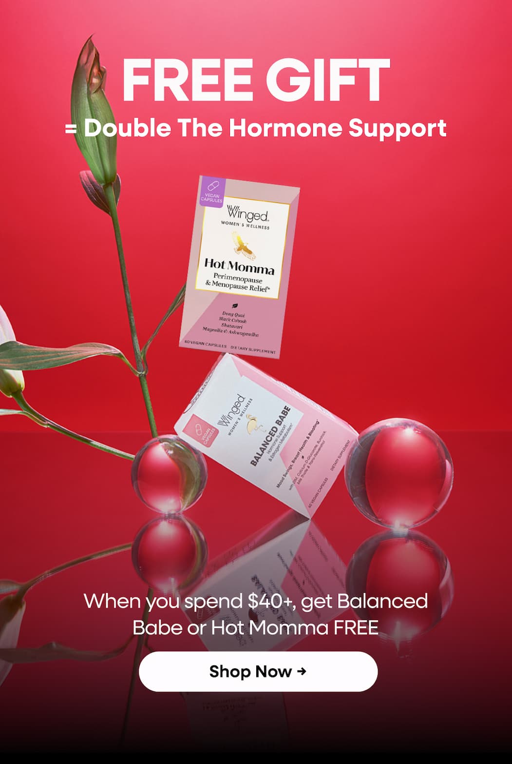 Free Gift = Double The Hormone Support. When You Spend $40+, Get Both Balanced Babe or Hot Momma Free. Shop Now →