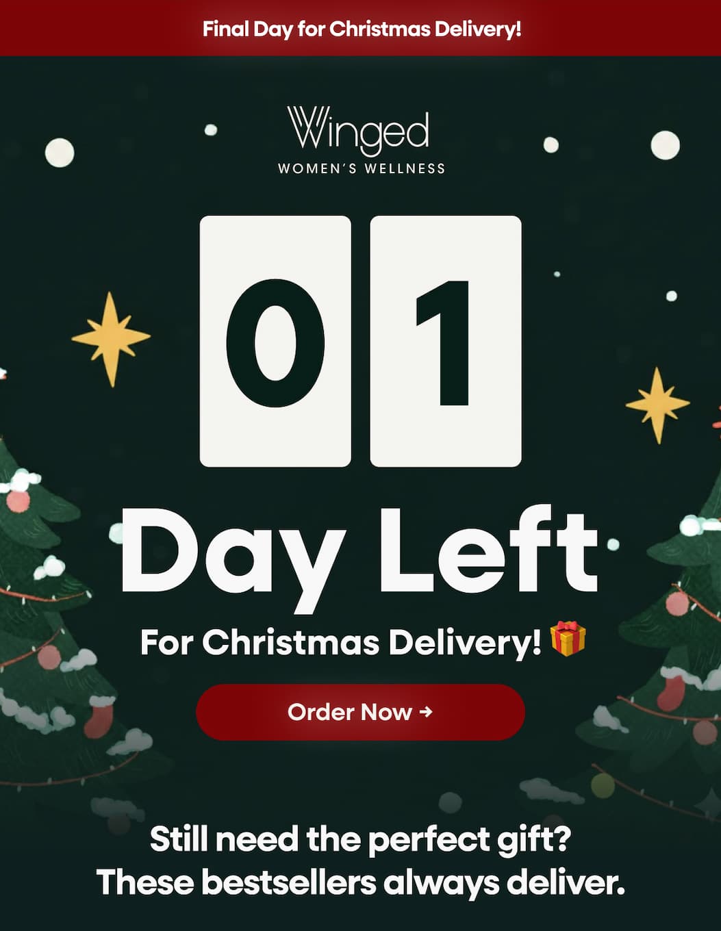 Final Day for Christmas Delivery! Day Left for Christmas delivery! 🎁 Order Now → Still need the perfect gift? These bestsellers always deliver.