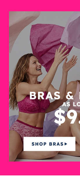 Z3_BRAS