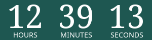 Timer