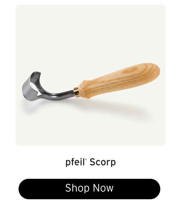 pfeil Scorp