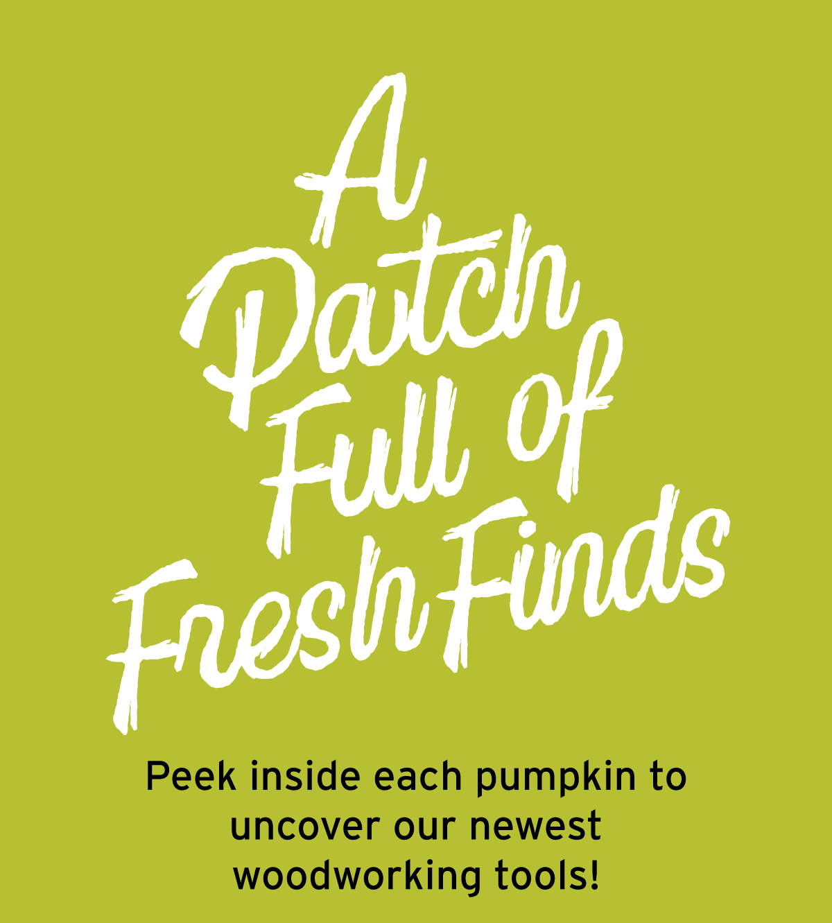 A Patch Full Of Fresh Finds - Shop All New Items