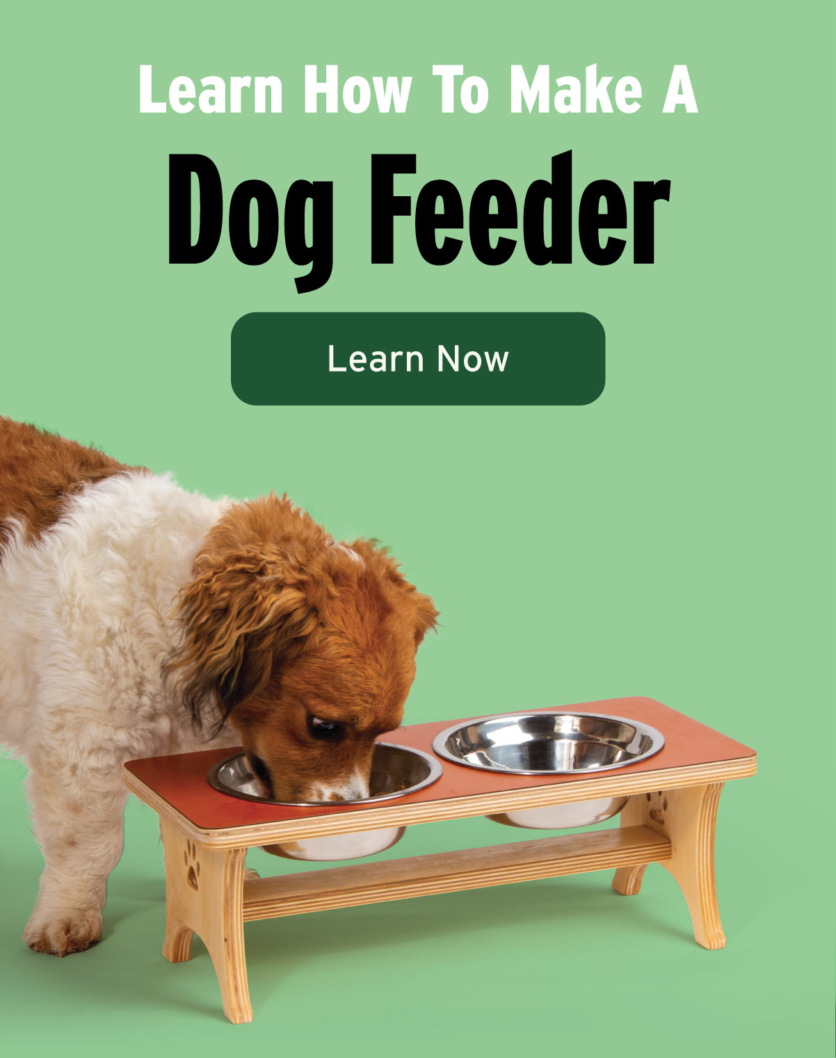 Learn How To Make A Dog Feeder - Read Article