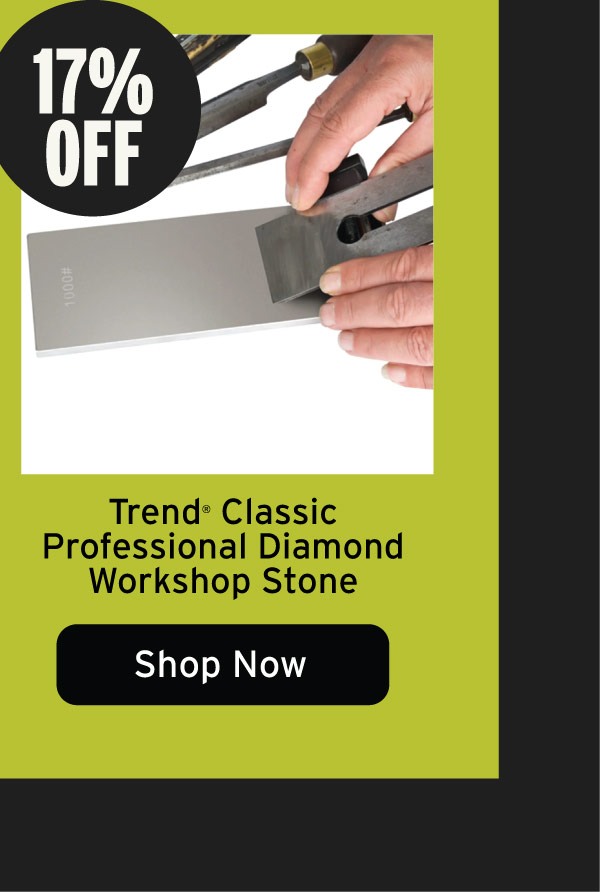 Trend Classic Professional Double-Sided Diamond Workshop Stone - 8"