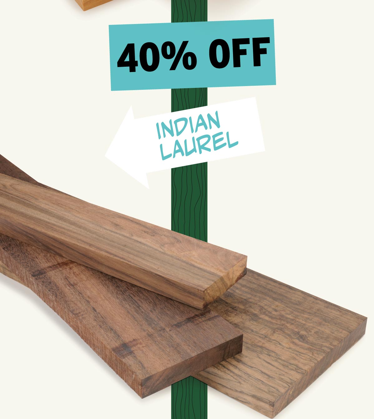 40% Off Indian Laurel