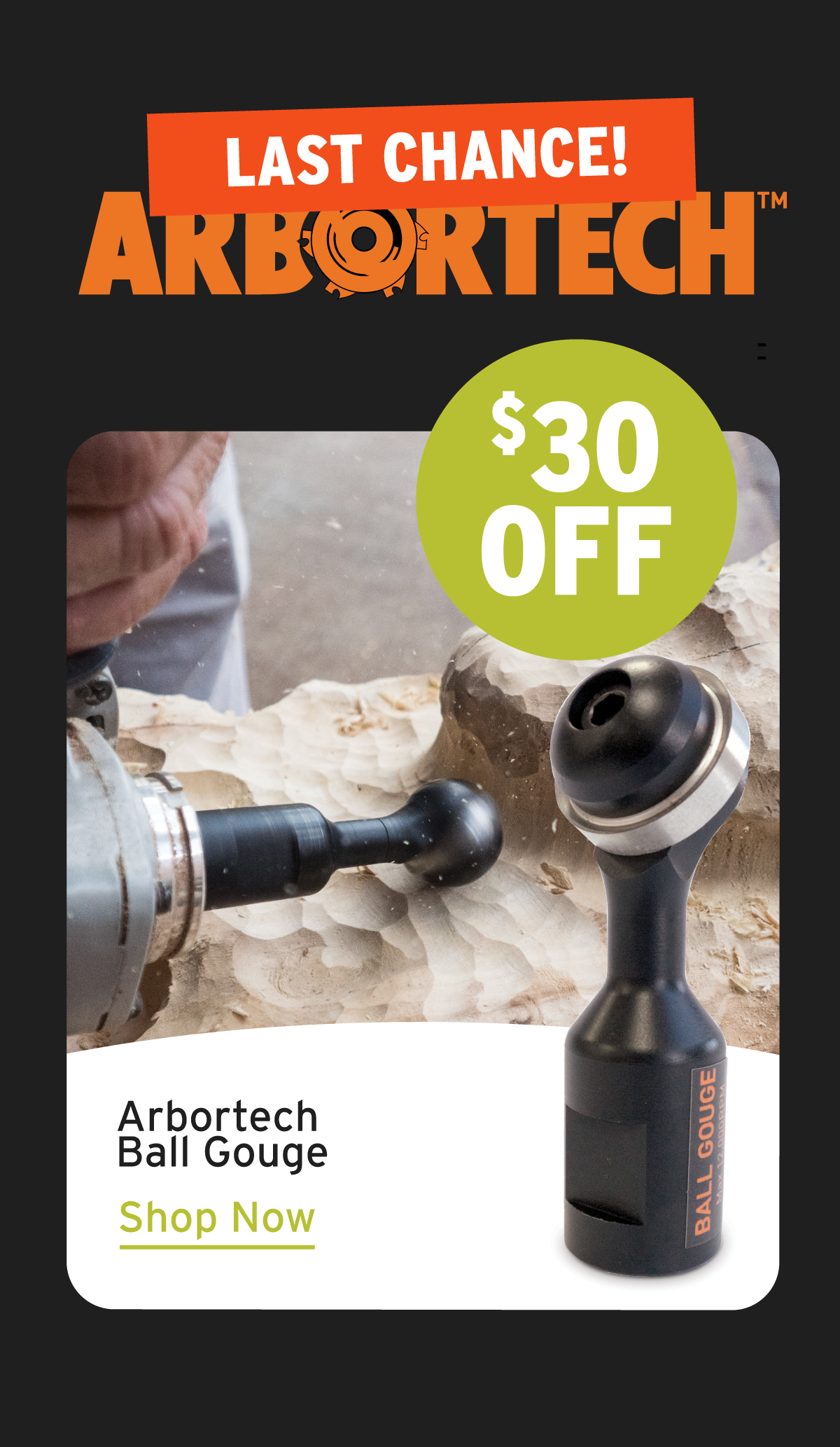 Arbortech Ball Gouge