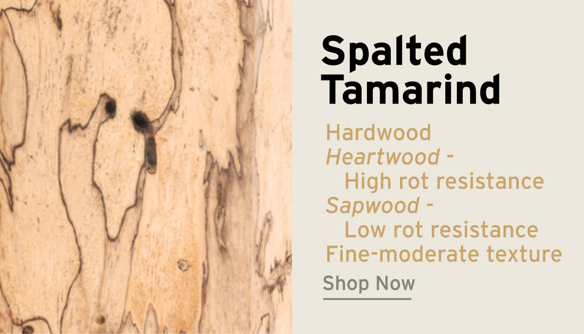 Spalted Tamarind