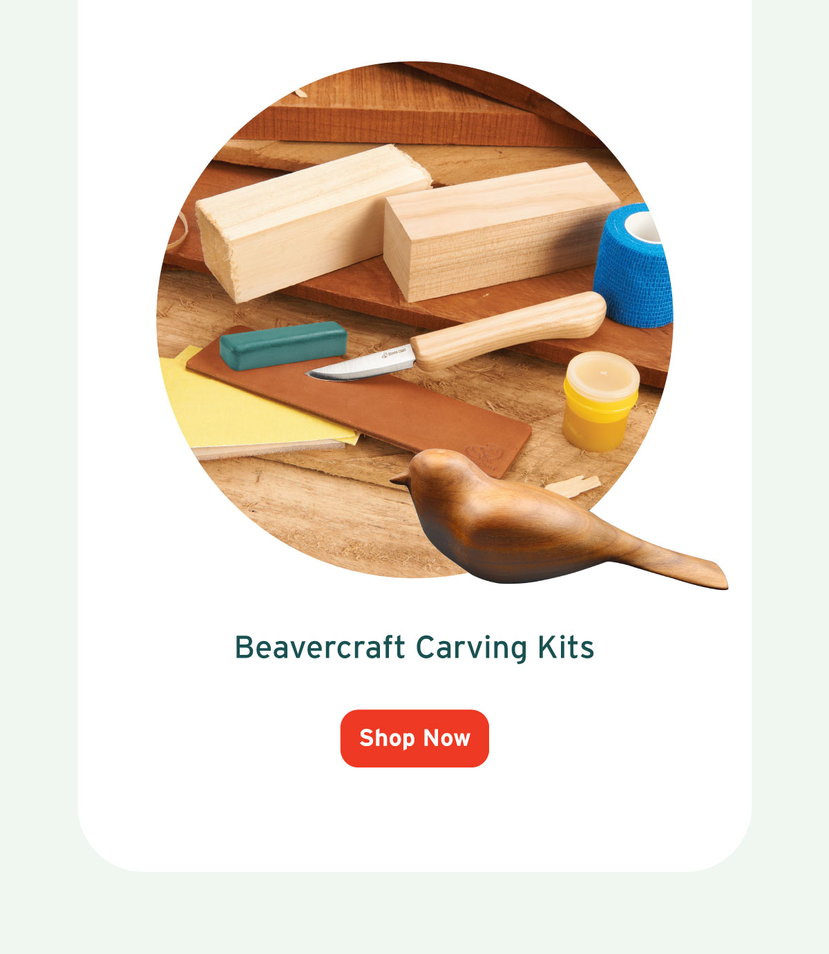 Beavercraft Carving Kits