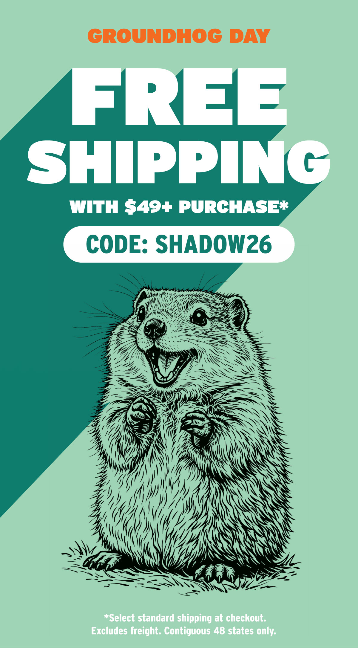 Free Shipping With $49+ Purchases!