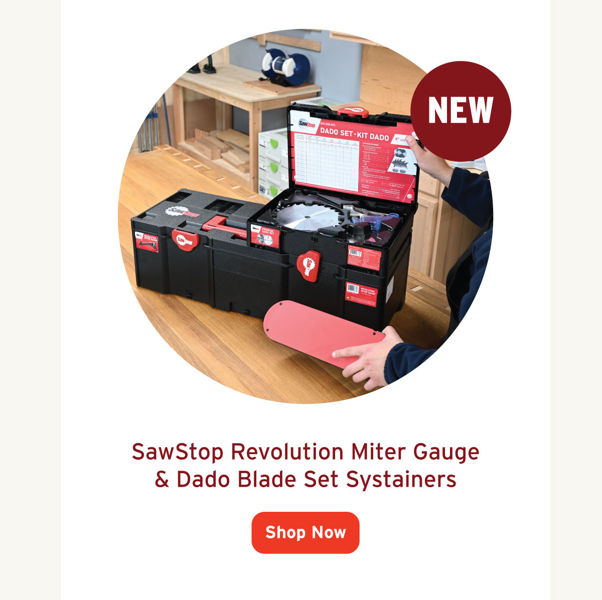 New Sawstop Items