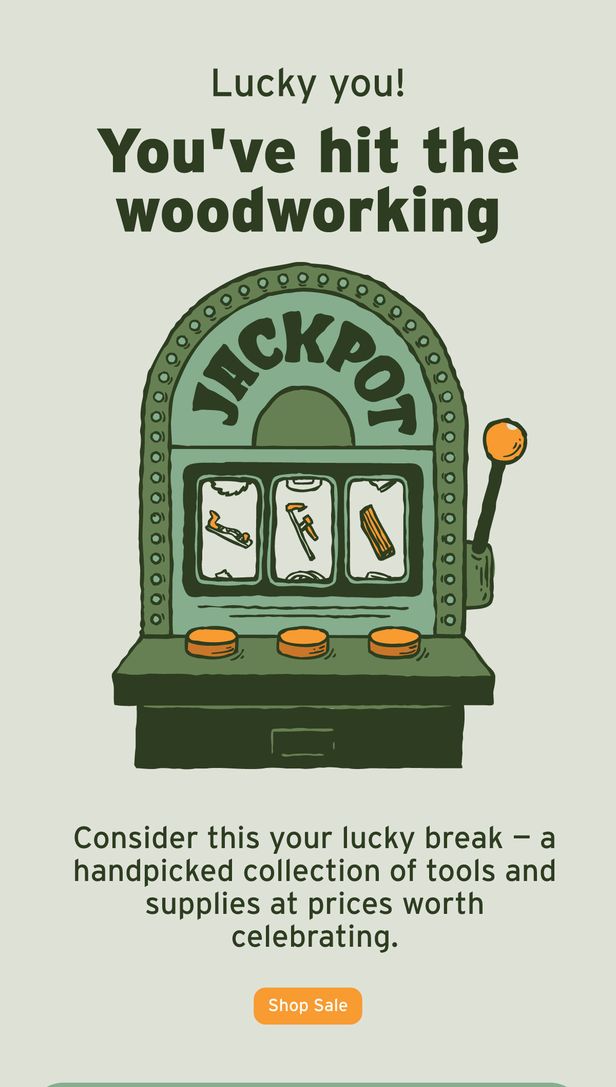 Lucky you! You've hit the woodworking jackpot!