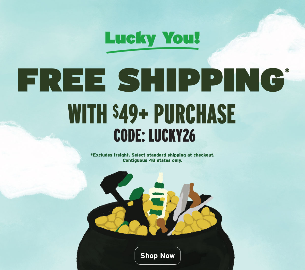 Free Shipping on $49+ Purchases with Code: LUCKY26