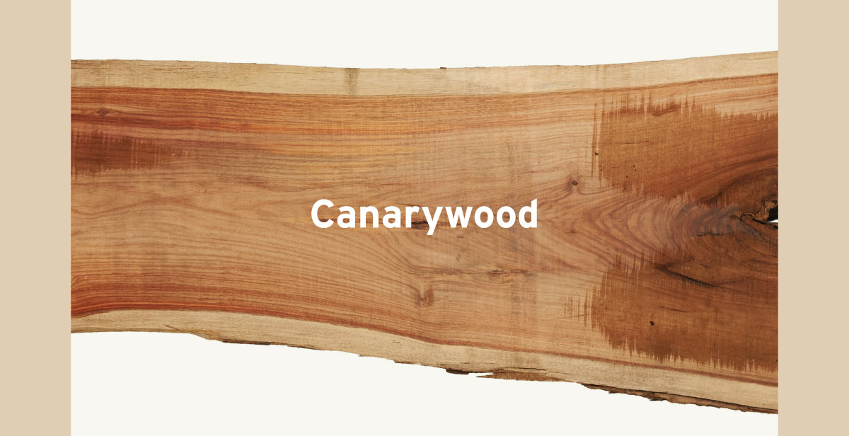 Canarywood Slabs