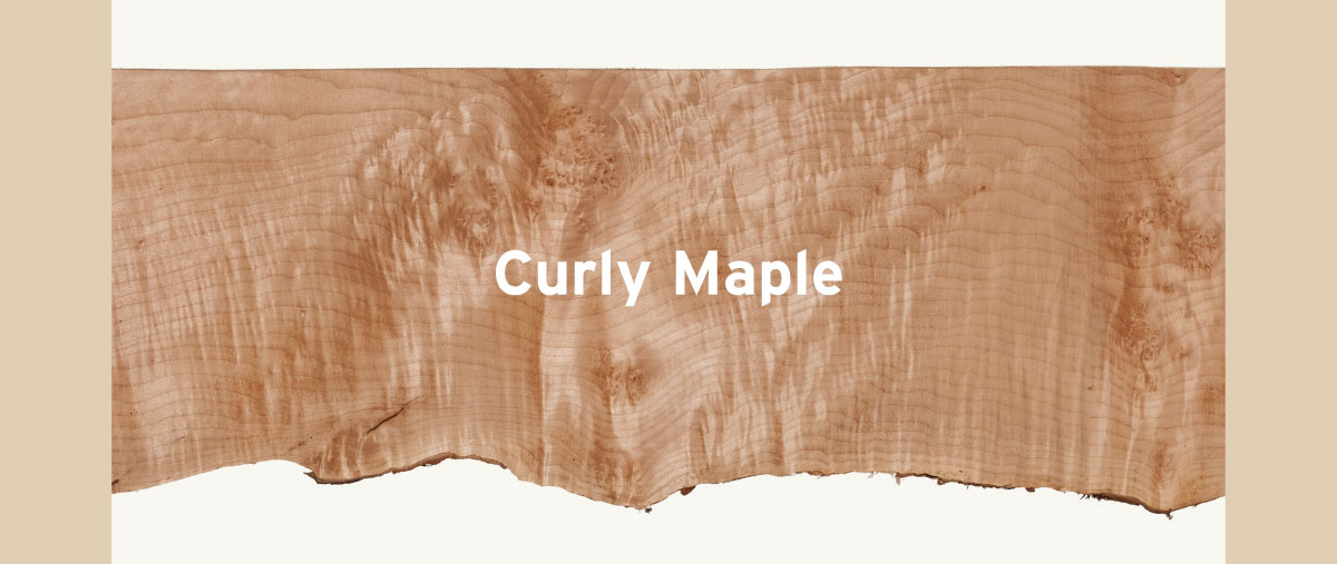 Curly Maple Slabs