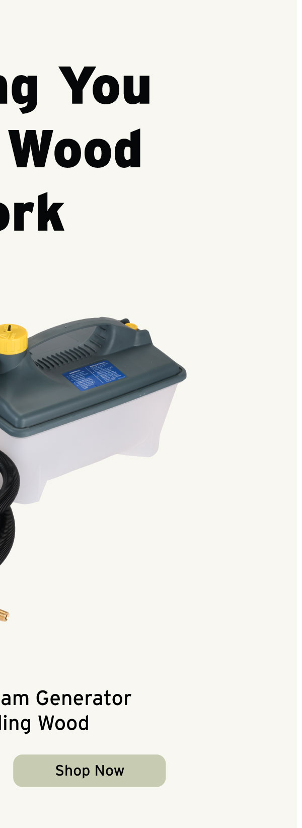 Earlex Steam Generator For Bending Wood