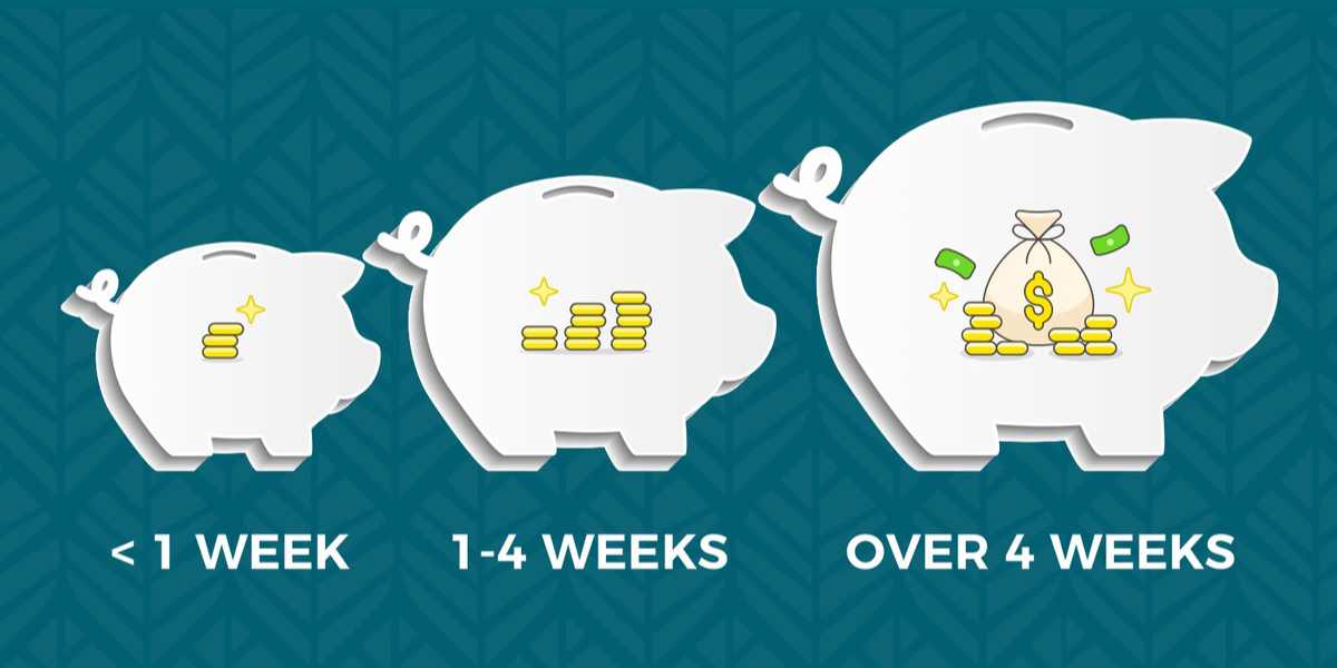 Piggy Bank Displaying Savings