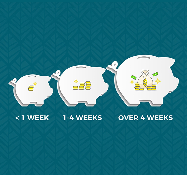 Piggy Bank Displaying Savings