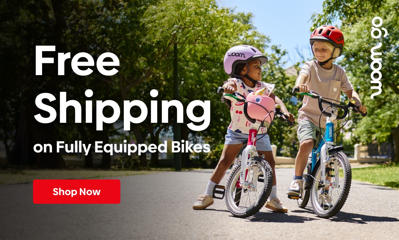 Free Shipping on Fully Equipped Bikes